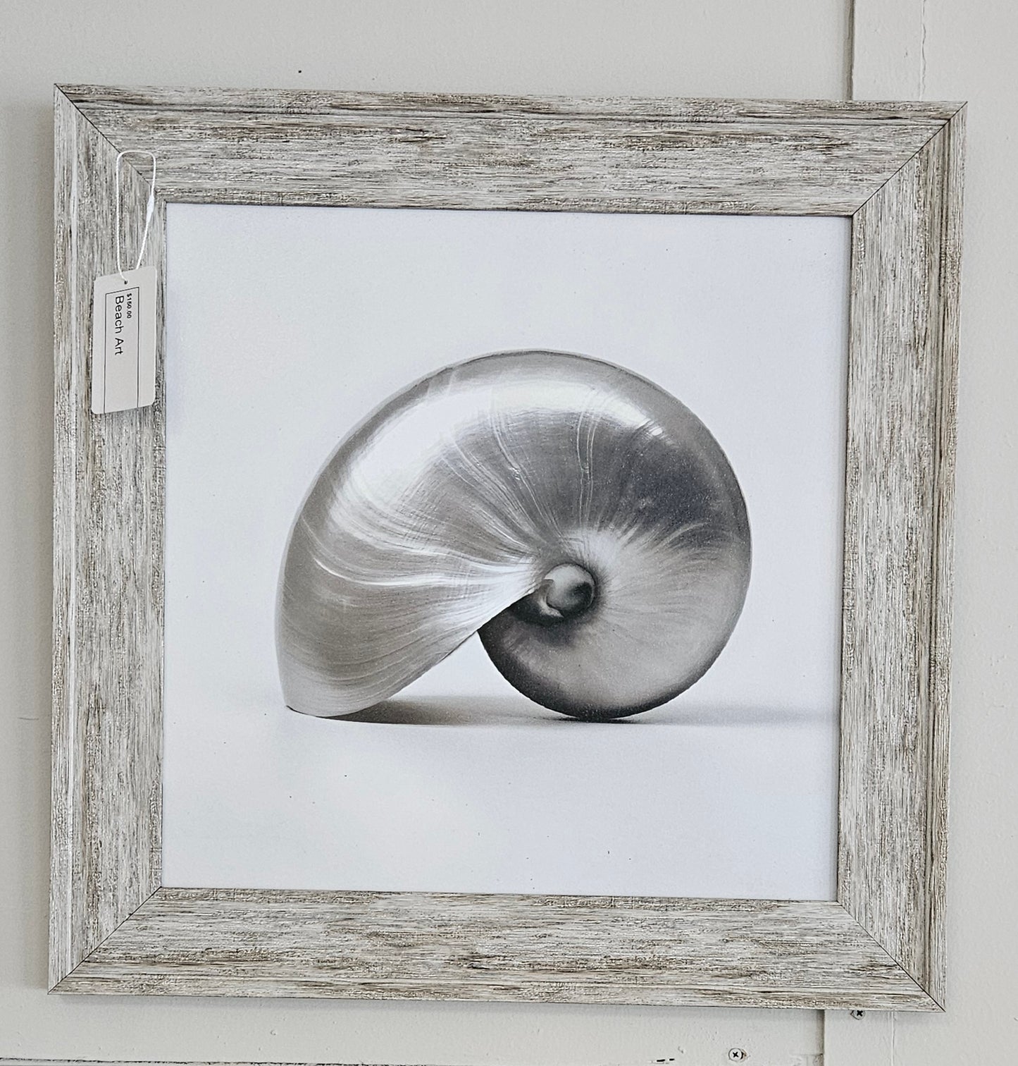 Silver Shells Wall Art