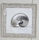 Silver Shells Wall Art