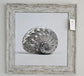 Silver Shells Wall Art