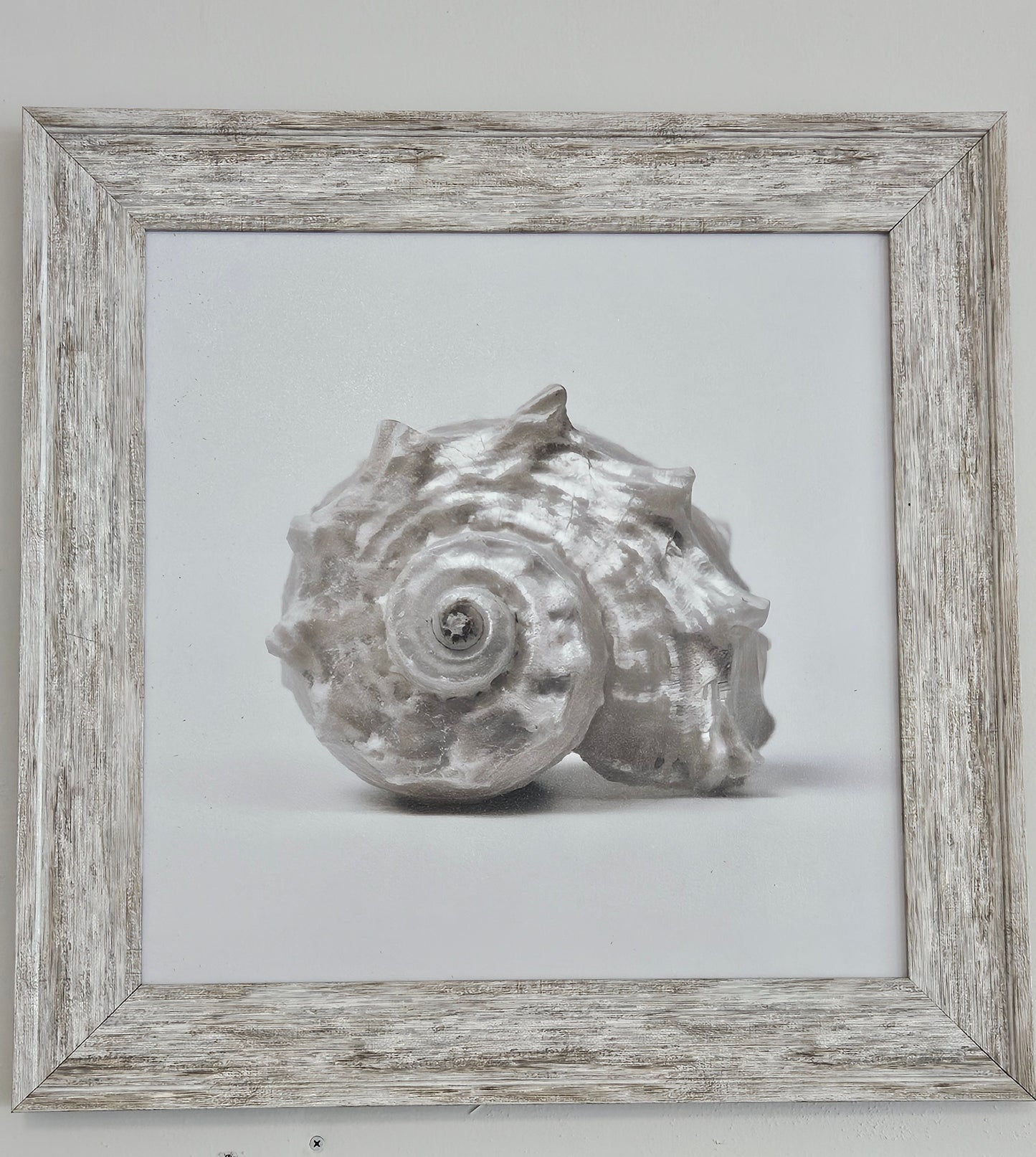 Silver Shells Wall Art