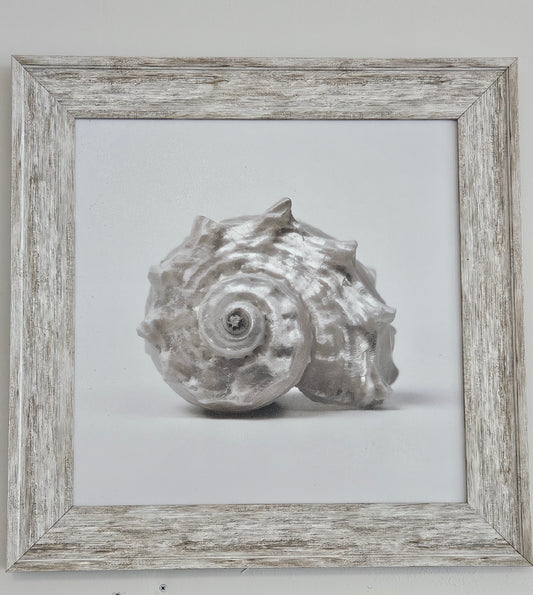 Silver Shells Wall Art