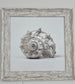 Silver Shells Wall Art