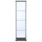 Bellatrix - 4-Shelf Clear Glass Curio Cabinet