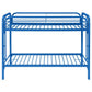 Morgan - Metal Bunk Bed