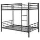 Hayward - Metal Bunk Bed